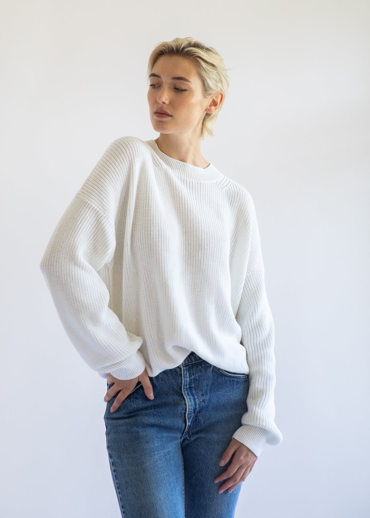 Fiorella Cotton Cashmere Crewneck Sweater in Pearl