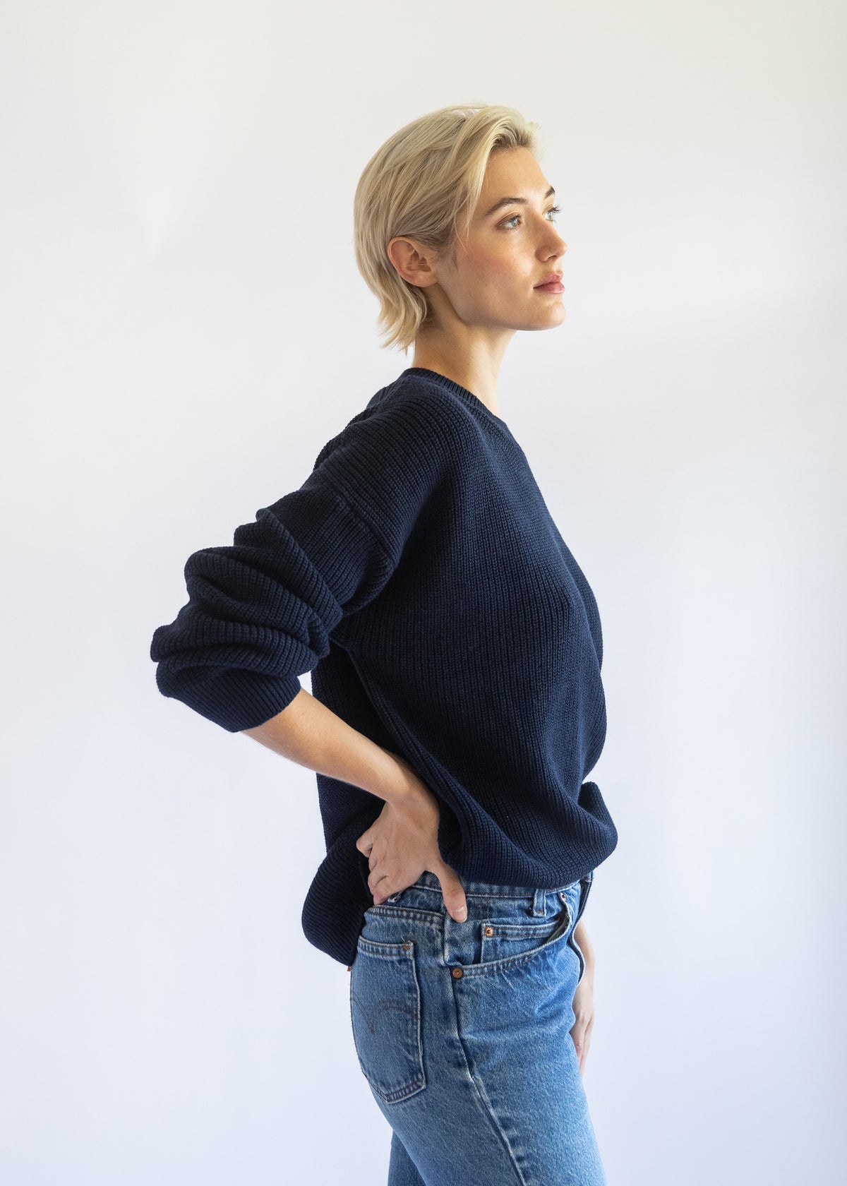 Fiorella Cotton Cashmere Crewneck Sweater in Passport Blue