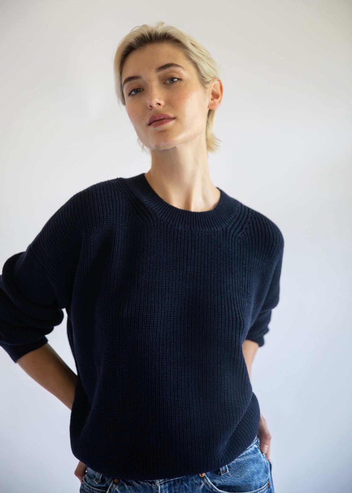 Fiorella Cotton Cashmere Crewneck Sweater in Passport Blue