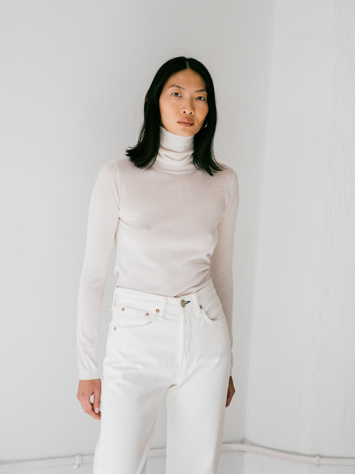 Agyness Turtleneck in Winter White